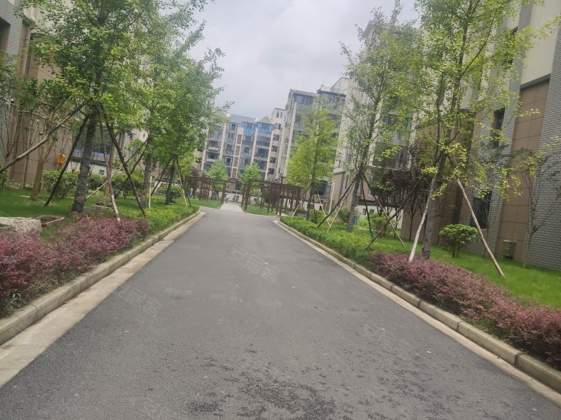 南城六号公馆,市场路6号-荆州南城六号公馆二手房,租房,房价-荆州安居