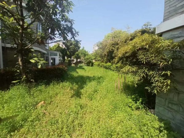 世纪花园(东阳)6室3厅3卫568㎡南北1380万