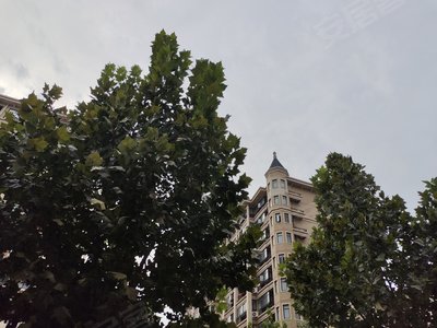 锦艺四季城七期香晴苑图片