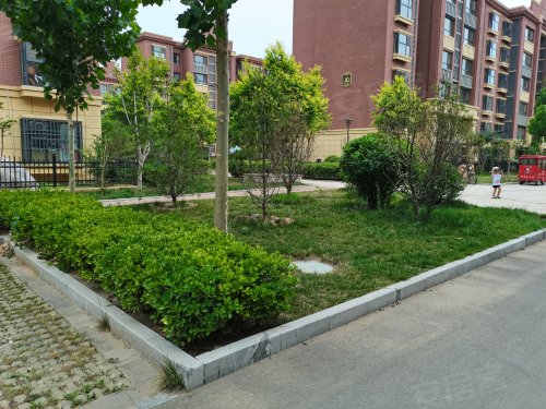 铜都凤栖湾一期,254省道 - 阳谷铜都凤栖湾一期二手房,租房,房价-阳谷