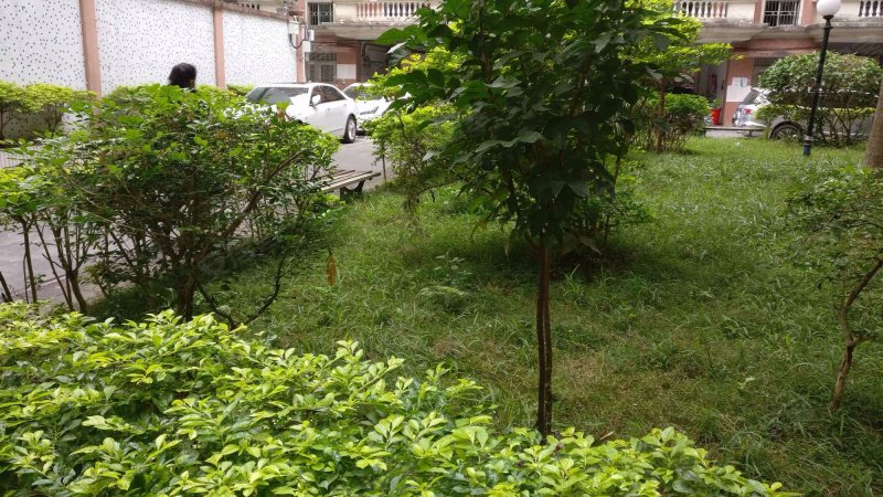 惠景花园,松子岭91号-惠州惠景花园二手房,租房,房价-惠州安居客