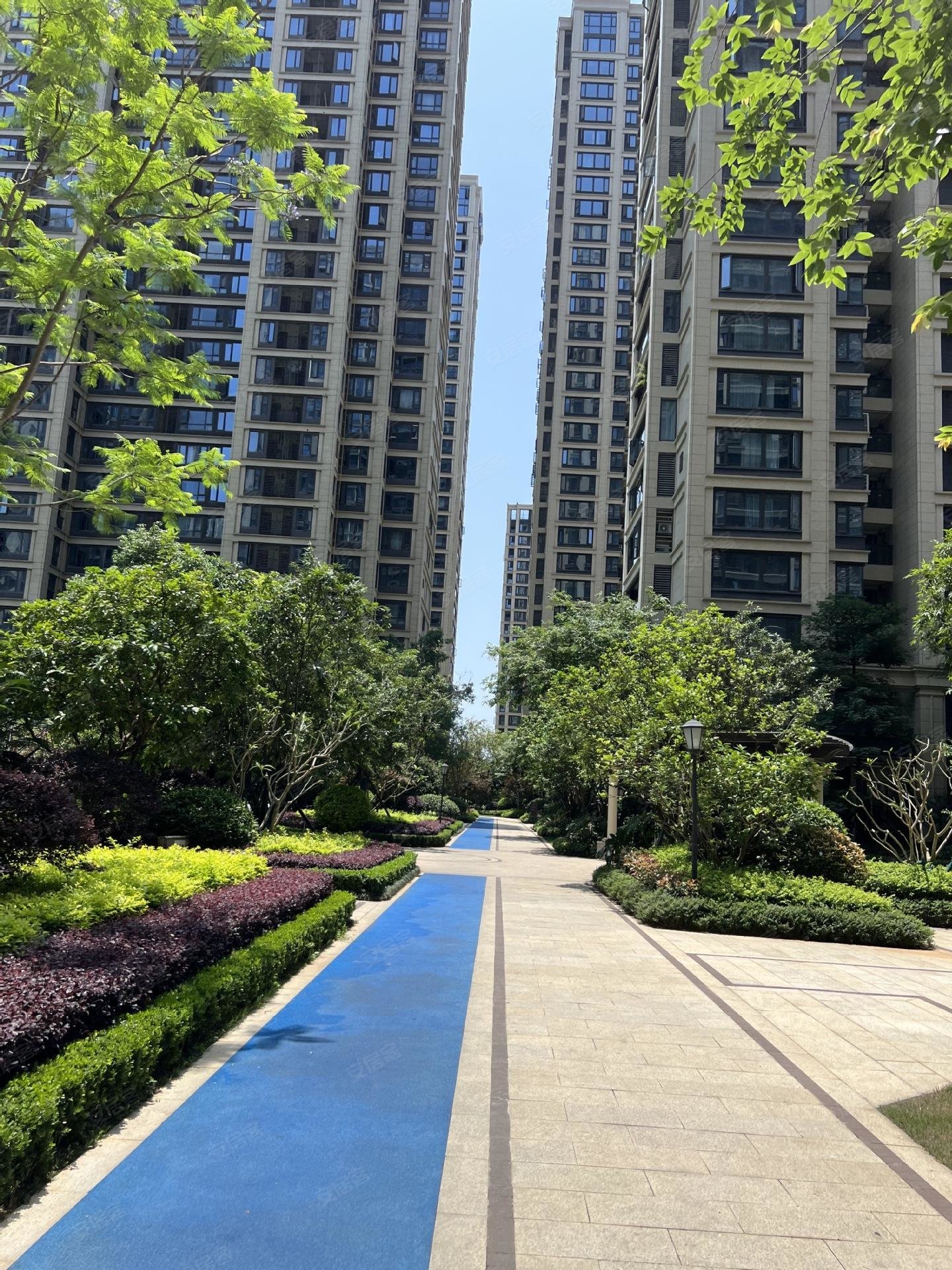 柳州绿城杨柳郡毛坯电梯4房户型方正视野好