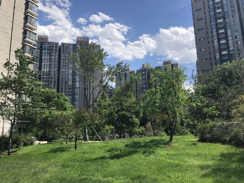 国兴观湖国际,东四环北路88号-北京国兴观湖国际二手房,租房,房价