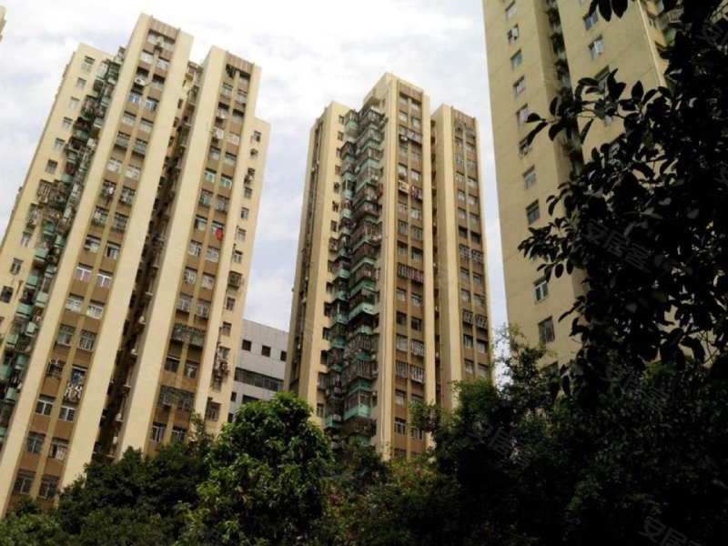 友谊大厦(罗湖)