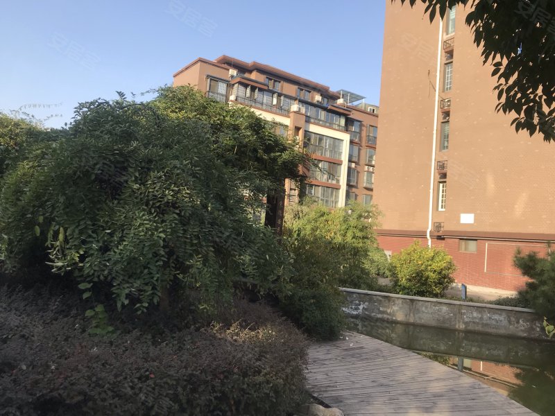 莱茵湖