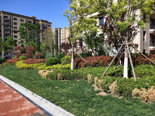 凡尔赛花园,豪源路 - 寿光凡尔赛花园二手房,租房,房价-寿光安居客