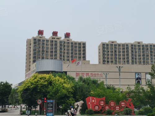 阳谷新世界广场,谷山北路16号 - 聊城阳谷新世界广场二手房,租房,房价