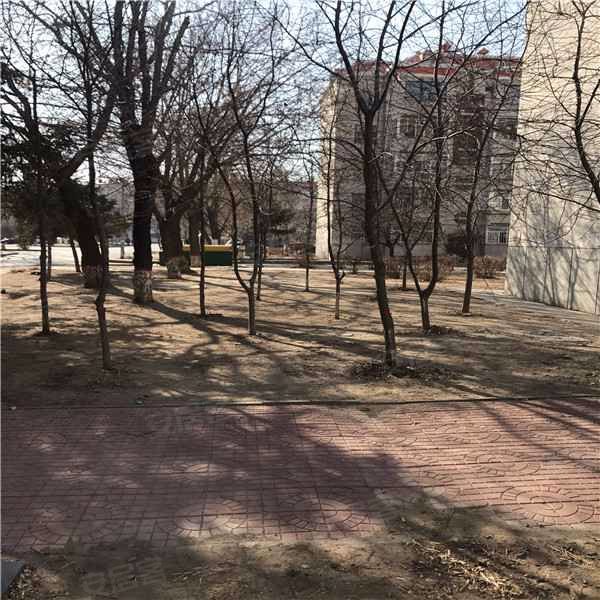 悦园小区,新城北街-大庆悦园小区二手房,租房,房价-大庆安居客