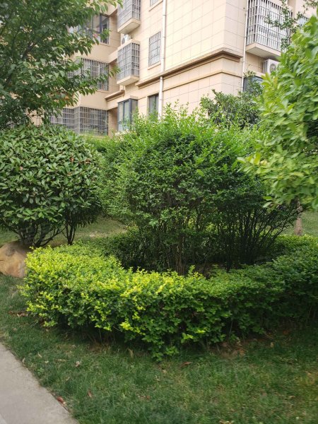 景园毓秀花园,环城南路-西安景园毓秀花园二手房,租房,房价-西安安居