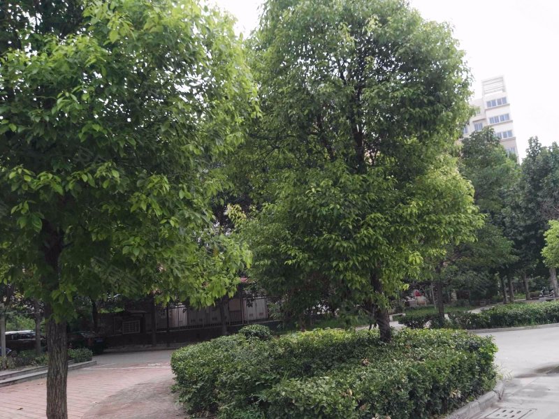 琵琶花园南区,沈孟路-徐州琵琶花园南区二手房,租房,房价-徐州安居客