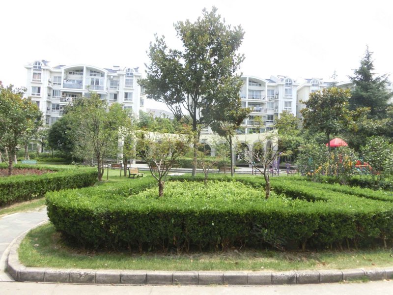 东兰兴城玉兰苑 