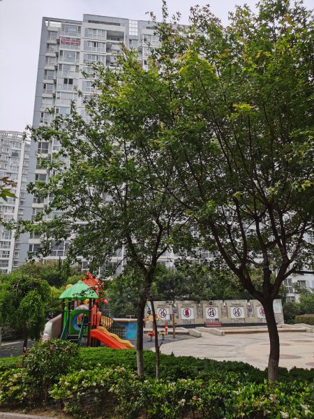 东方美景,同安路888号-青岛东方美景二手房,租房,房价-青岛安居客