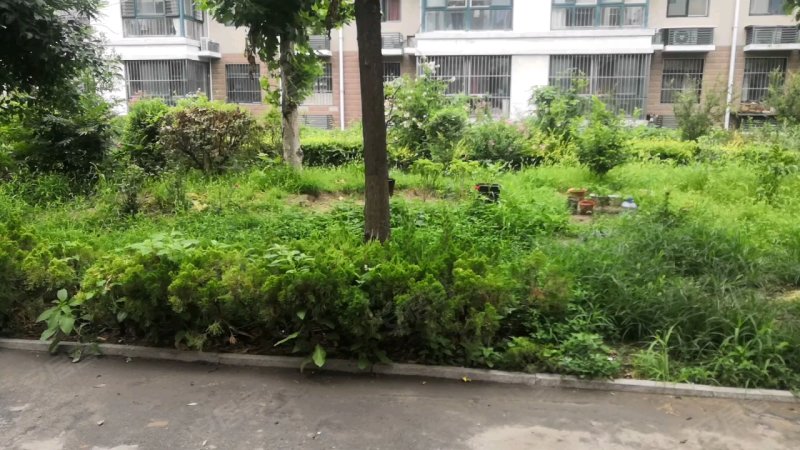 美丽华小区,文化路301号-潍坊美丽华小区二手房,租房,房价-潍坊安居客