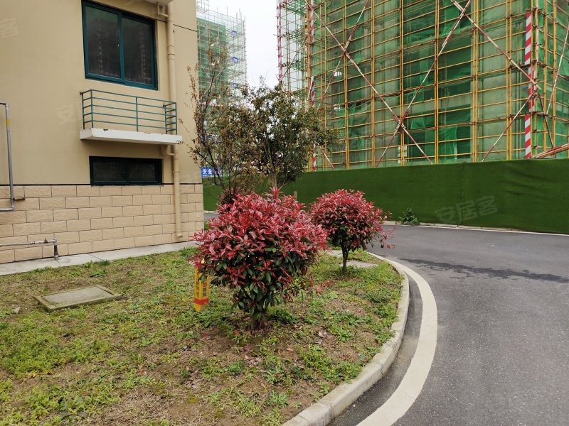 金桥名都,咸保路,近芜屯路