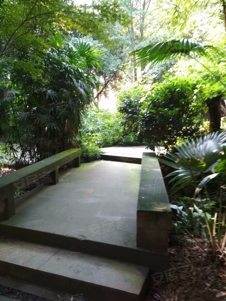 滨河花园(郫县),望丛东路478号-成都滨河花园(郫县)二手房,租房,房价