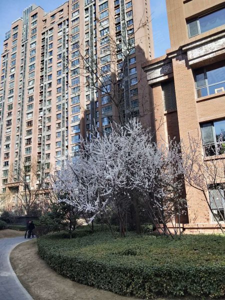 新晋世家(榆次)