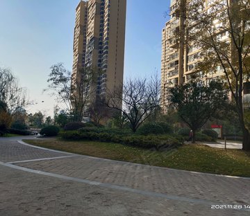 发能海心沙