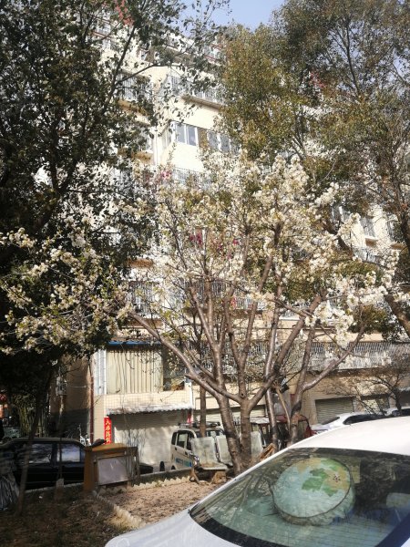 文秀花园,建设中路1089号-南阳文秀花园二手房,租房,房价-南阳安居客