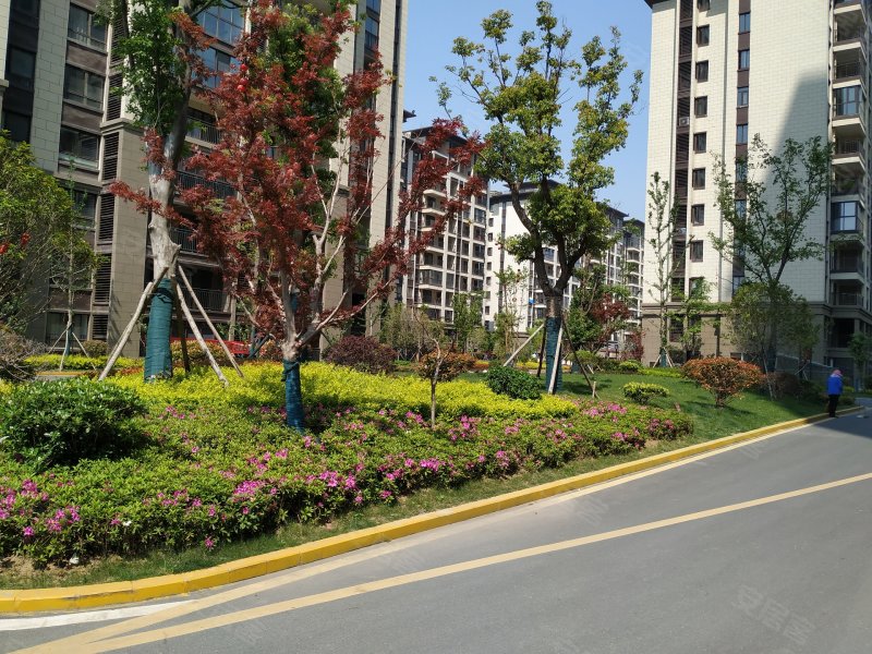 御景学府春晖苑