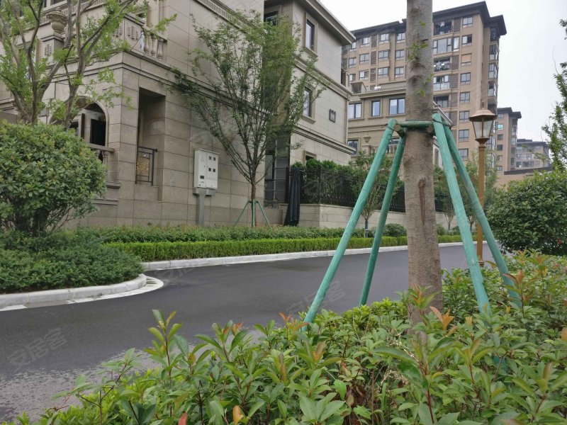 紫金华府(二期),顾家营路61号-南京紫金华府(二期)二手房,租房,房价