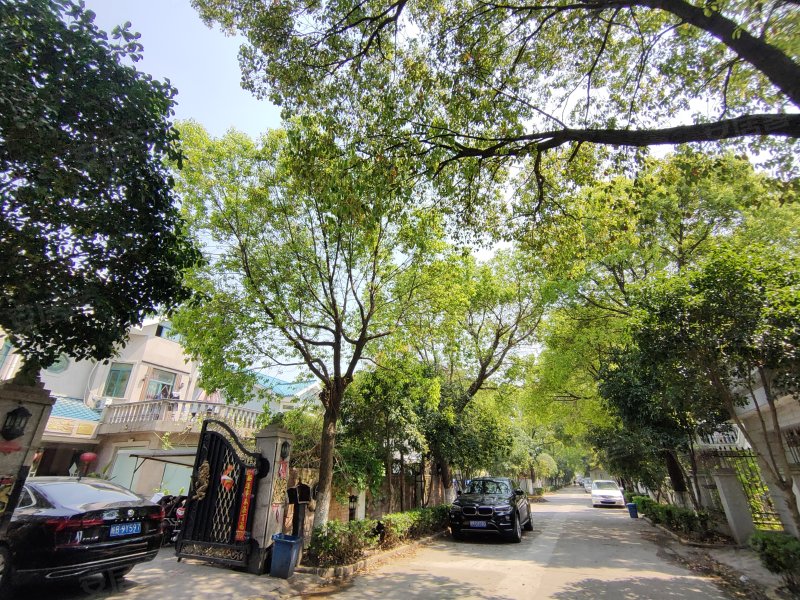 建德花园玫瑰苑(别墅)