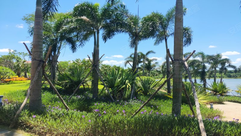 国瑞云龙湖,海榆南路168号-海口国瑞云龙湖二手房,租房,房价-海口安居