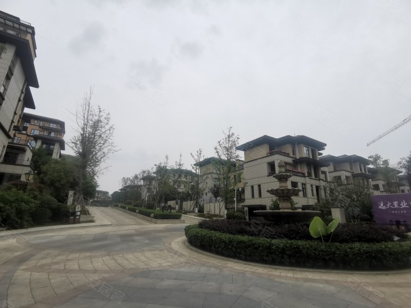 远大美域二期,石桥铺路东段39号-绵阳远大美域二期二手房,租房,房价