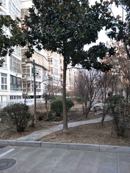 连云港租房市场观察：选择适合你的安家港湾