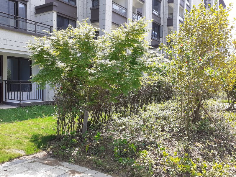 朗臻桃花源,211省道-杭州朗臻桃花源二手房,租房,房价-杭州安居客