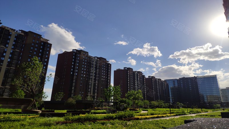 京投银泰万科西华府