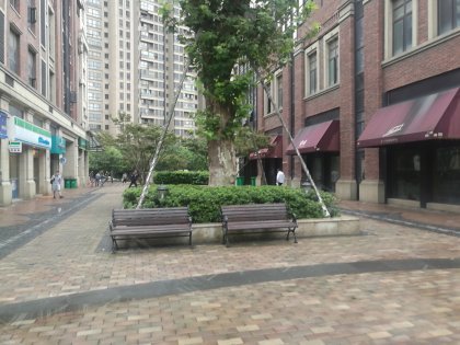 宝山金地艺境(商住楼) 