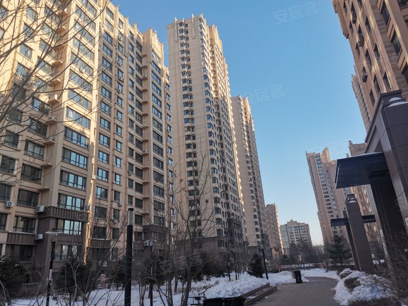 远大中央公园