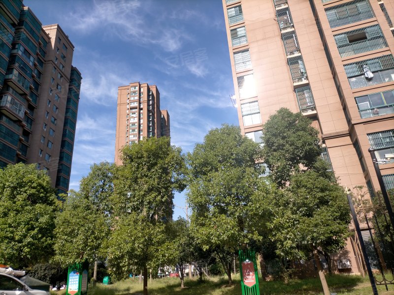 御龙湾(裕安),光明路,近淠河路-六安御龙湾(裕安)二手房,租房,房价