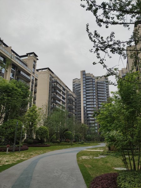 中铁卓越城,红星路南延线一段-成都中铁卓越城二手房,租房,房价-成都