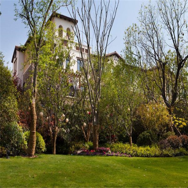 龙湖九里香醍(别墅)