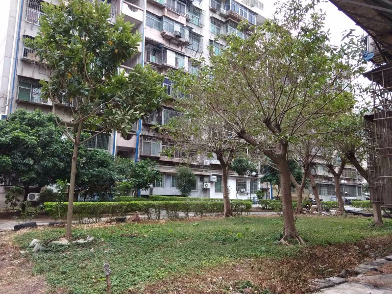 广梅汕家园,站前一路-绍兴广梅汕家园二手房,租房,房价-绍兴安居客