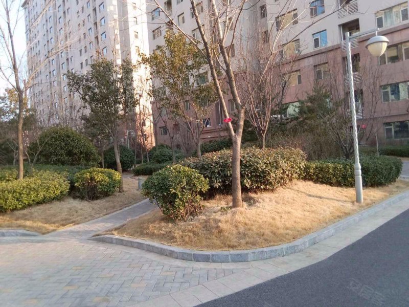 大众嘉园,环山路1号-济南大众嘉园二手房,租房,房价-济南安居客