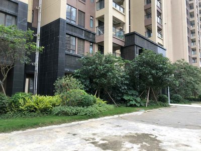 申蓝宝邸(一期)小区图片相册,湛江申蓝宝邸(一期)实景图,室外图,小区