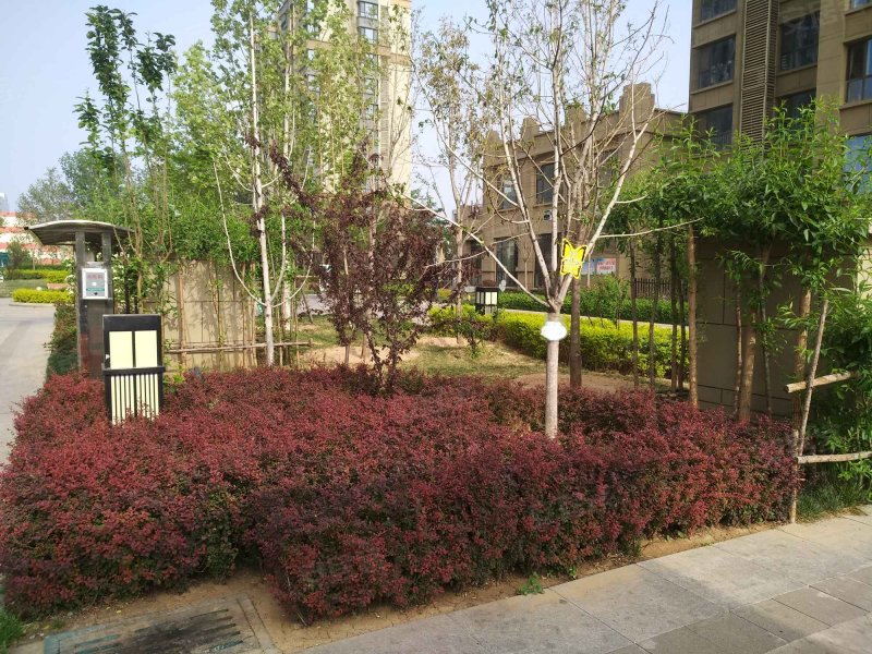 丽景御园,胜利路-衡水丽景御园二手房,租房,房价-衡水安居客