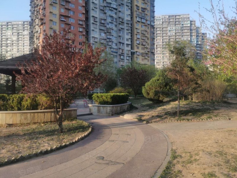 金隅丽景园,朝阳北路-北京金隅丽景园二手房,租房,房价-北京安居客