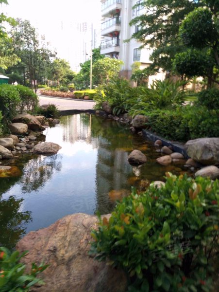 美林湾(东区),卢滨路639号-福州美林湾(东区)二手房,租房,房价-福州