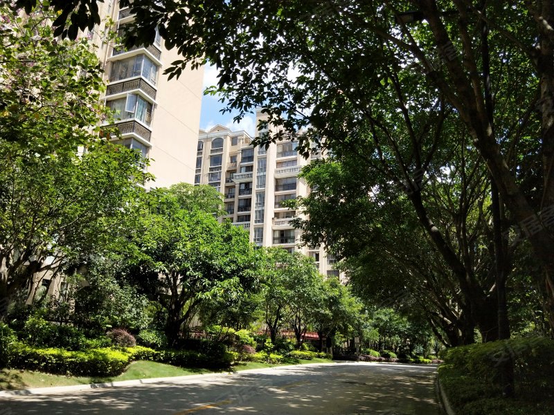 云星钱隆首府(c区),宋厢路,近龙佑街-南宁云星钱隆首府(c区)二手房