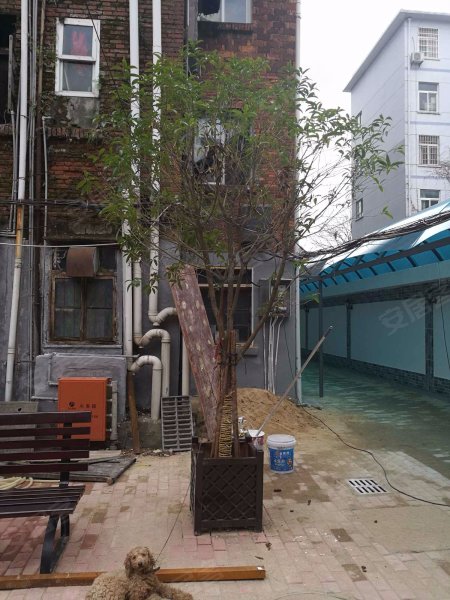 东书院街中学教工宿舍,东书院街15号-南昌东书院街中学教工宿舍二手房