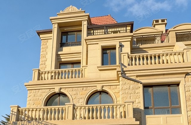 鲁德海德堡(别墅)5室3厅513㎡2850万二手房图片