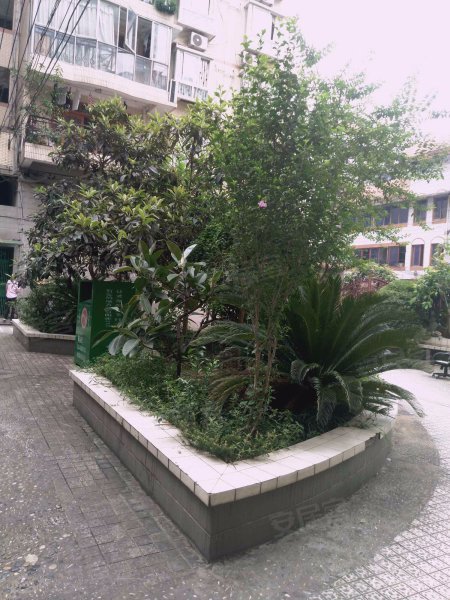 时代绿苑(一期)