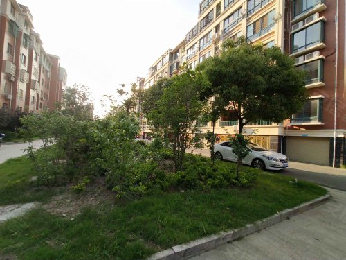 正集名都花园,天津路 - 阜宁正集名都花园二手房,租房,房价-阜宁安居