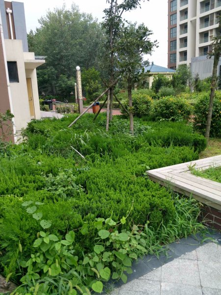 尚景嘉园,甜水河路-青岛尚景嘉园二手房,租房,房价-青岛安居客