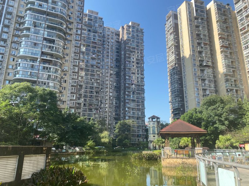 龙城国际,汇兴路-自贡龙城国际二手房,租房,房价-自贡安居客