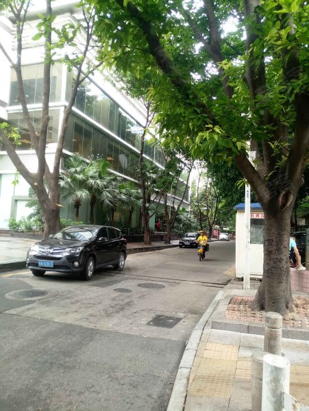 西雅苑(天河),体育西路127-131号-广州西雅苑(天河)二手房,租房,房价