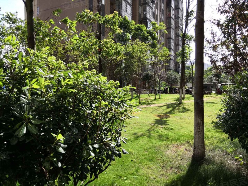 洋湖和园(二期)